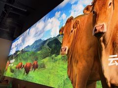-陈记顺和潮汕鲜牛肉火锅(西门口广场店)