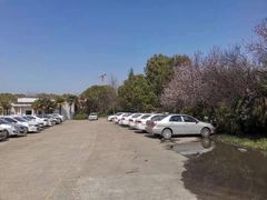 -胜华驾校·小猫学车(银都店)