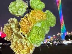 -二沙岛艺术公园