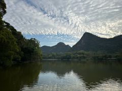 -广州国际生物岛山地公园揽胜园