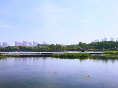 -尚贤河湿地
