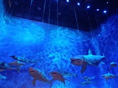 -伯爵·沉浸式超级密室·直营店