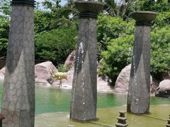 -亚龙湾热带天堂森林公园