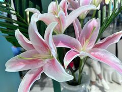 -南堂馆·新川菜(春熙路店)