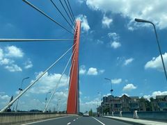 -中和裴氏蹄花(府河路店)