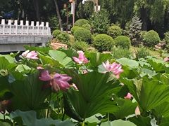 -长春市南湖公园