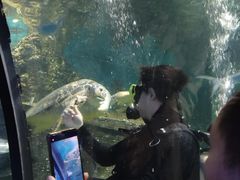 -嘉兴海底世界