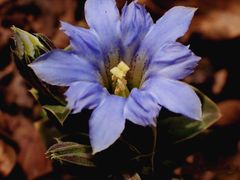 -玉渡山风景区-售票处