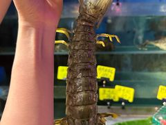 -辉记炭烧海鲜大排档·老字号(福田店)