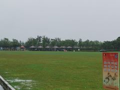 -春花秋色城市公园