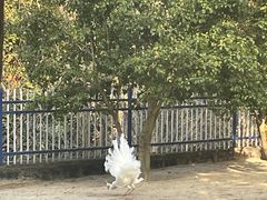 -宁波九龙湖开元度假村