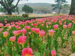 -无锡梅园公园