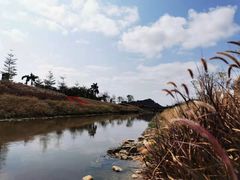 -光明小镇欢乐田园