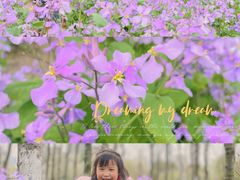 -白塘生态植物园