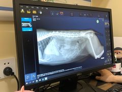 -萌兽医馆·犬猫专科·眼科中心·宠物医院(朝阳门分院)