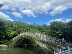 -梅园