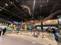 -国家自然博物馆