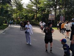 -灵玲国际马戏城