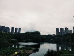 -重庆彩云湖湿地公园