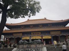 -天龙宝严素食馆(大兴善寺店)