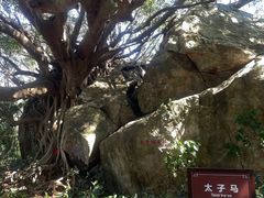 -宋井风景区