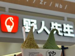 -野人先生现做冰淇淋(深圳壹方城店)