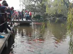 -西湖外事游船(花港观鱼码头)