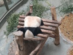 -天目湖御水温泉·度假酒店