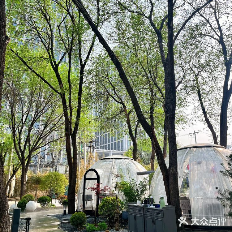 🌟青年路居然有神仙小院❗️它必须是我私藏榜