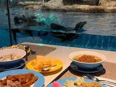 -帝企鹅自助餐厅•儿童岛•真企鹅(长隆企鹅酒店)