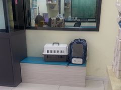 -天宠宠物医院24小时·急重症诊疗中心·全科·腔镜特色(和平分院)