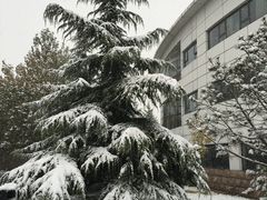 -北京市海淀外国语实验学校