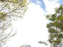-老山国家森林公园