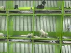 -唐小姐の猫狗洗护·购宠旗舰店(周浦万达店)