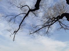 -颐和园