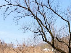 -西湖风景区-江洋畈生态公园