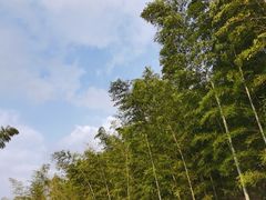 -求雨山文化公园