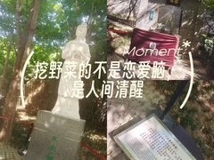 -西安曲江寒窑遗址公园