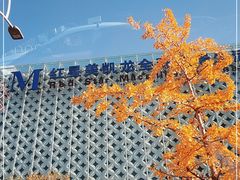 -红星美凯龙(东北全球家居1号店)
