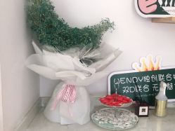 点击看大图 -WENDY·温迪皮肤管理