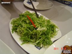 凉菜-保定会馆(红旗大街店)