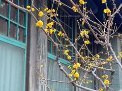 -颐和园