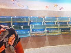 -蓝珊甄选海鲜自助·火锅大排档(近阿那亚店)