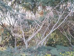 -同里国家湿地公园
