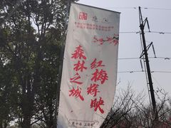 -上海海湾国家森林公园