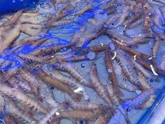 -澜悦港海鲜体验主题餐厅