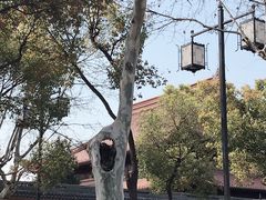 -苏州文庙(姑苏区)