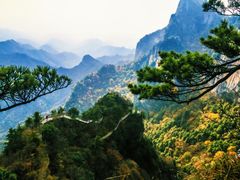 -秦岭天竺山景区