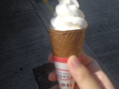 -富豪雪糕车流动点(尖沙咀店)
