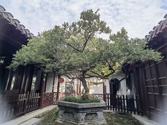 -水绘园